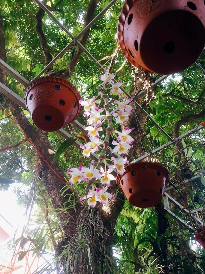 Homestay Vuon Nhan Pleiku Buitenkant foto